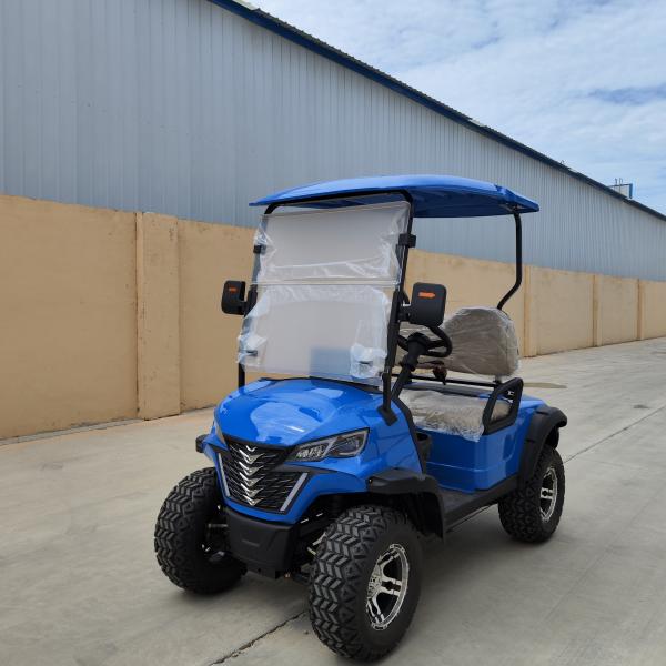 Blue Two-Seater Off-Road Mini Electric Golf Cart With Front Suspension Disc Brake