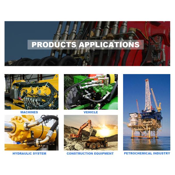 El cinc del acero de carbono plateó las colocaciones de manguera hidráulicas de Bsp