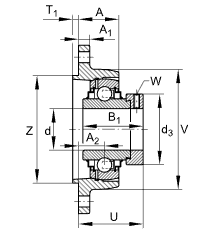 INA RCJTZ35 Two-bolt Flange Pillow Block Ball Bearing in cast iron RCJTZ35-XL Housing Units