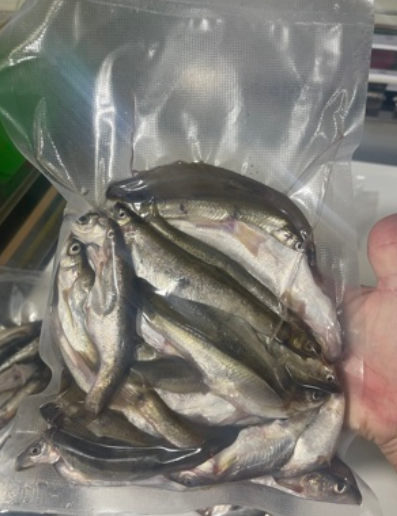 Hot Sale Double Single Chamber Thermoforming Vacuum Packaging Machine