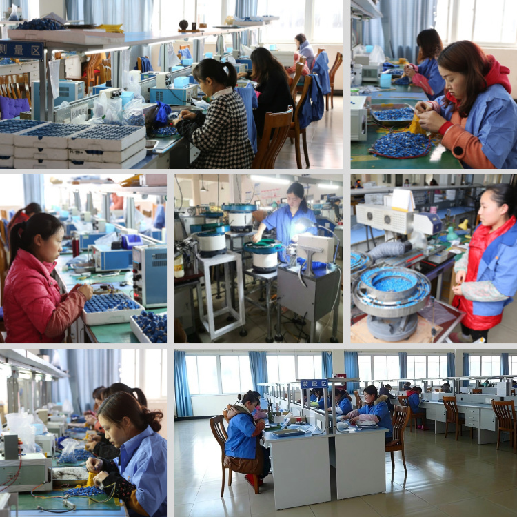 Sichuan Qixing Electronics Co., Ltd.