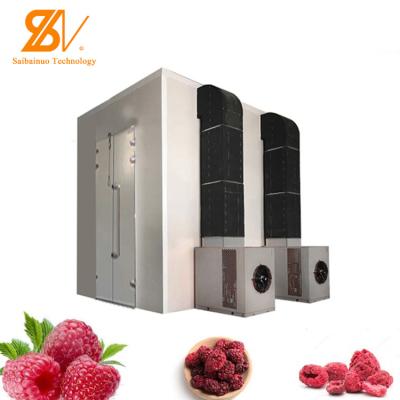 Air Energy Oven Low Energy Belt Drying Equipment In Fruit Mango Kiwi Cherry
