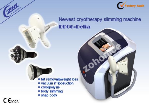 Máquina ultra-sônica do emagrecimento de Cryolipolysis da remoção gorda