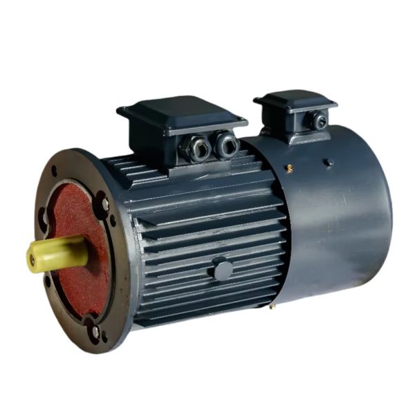 Explosion-Proof Variable Frequency Drive Motor with Braking Function and IP55 Protection for Industrial Applications
