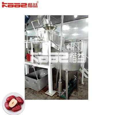 Industrial High Efficiency Easy Operate Dates Processing Machine For Sale