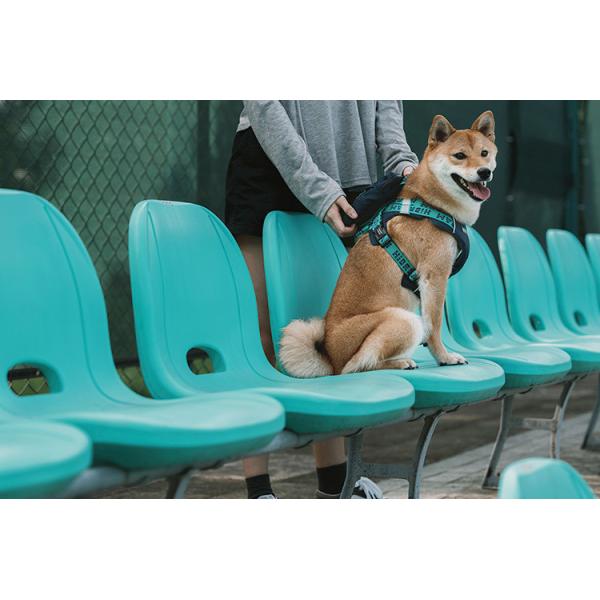 Pet Puppy Poodle Dog Harness Pack Vest Saddle Rucksack Leash For Large Dogs