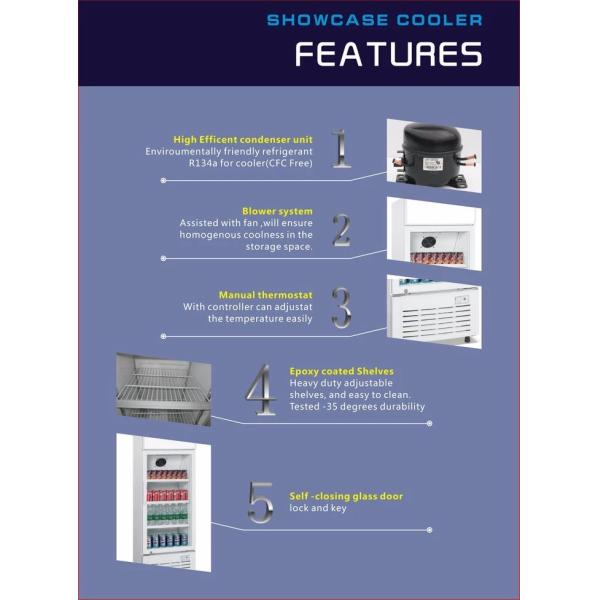 Commercial Upright Beverage Cooler Refrigerator With High Efficiency EC Fans,350L No Frost Beverage Showcase