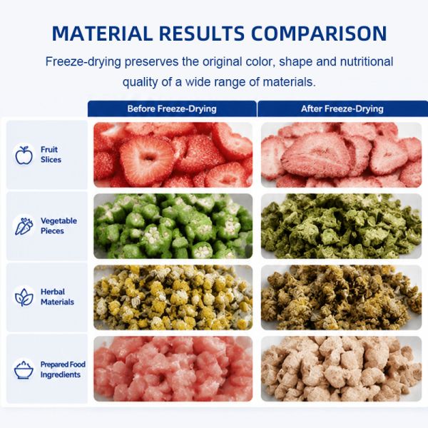 2.5M2 High-Capacity Vacuum Freeze Dryer for Long-Term Food Preservation