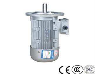 high quality IP55 high efficient water pump three phase induction squirrel cage ventilation motoren with brake