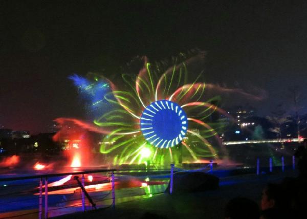 Large Beautiful 3d Laser Light Show  / Laser Water Fountain With PC Control System