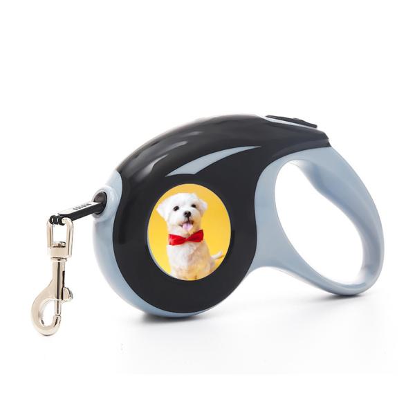 Colored Sublimation Automatic Retractable Dog Leash Heat Transfer Pet Leash Cat Leash 3M And 5M