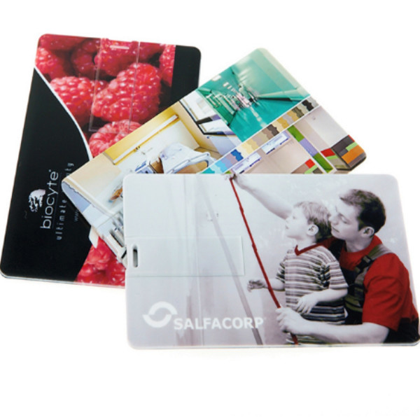 Plastic Customized Promotional Gifts 4GB Business Credit Card USB Flash Drive