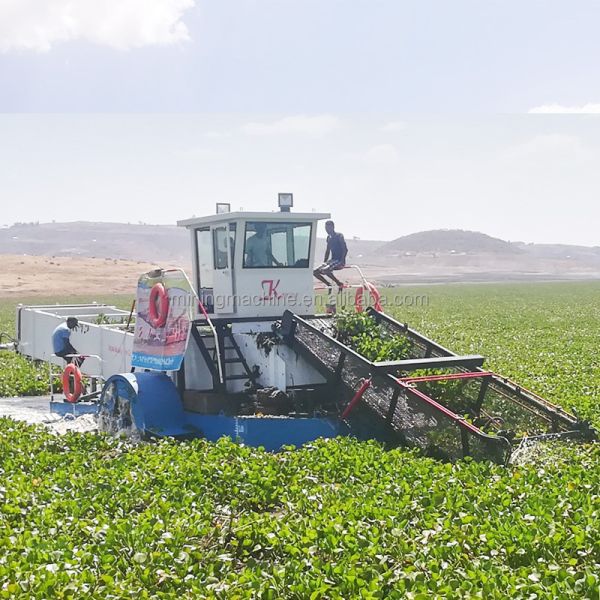 Affordable Eco-friendly Aquatic Weed Harvester and Water Hyacinth Hunter for Easy River Cleaning