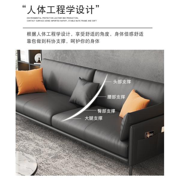 Light Luxury Living Room and Office Sofa Bed Customized Italian Style with Wood Frame