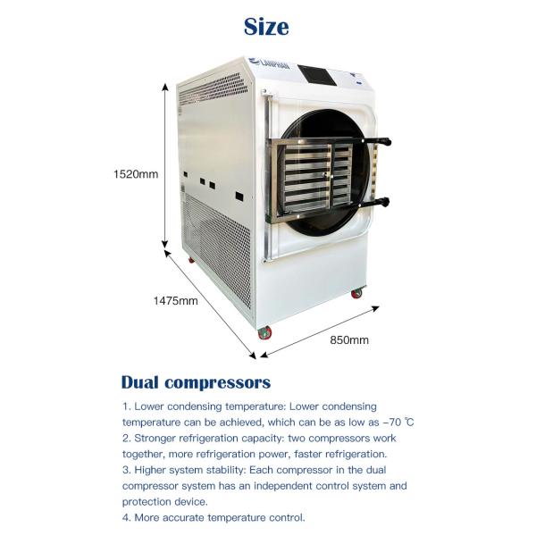 Multi-Function Lab Commercial Vegetable Snack 60KG Vacuum Freeze Dryer Lyophilizer Machine