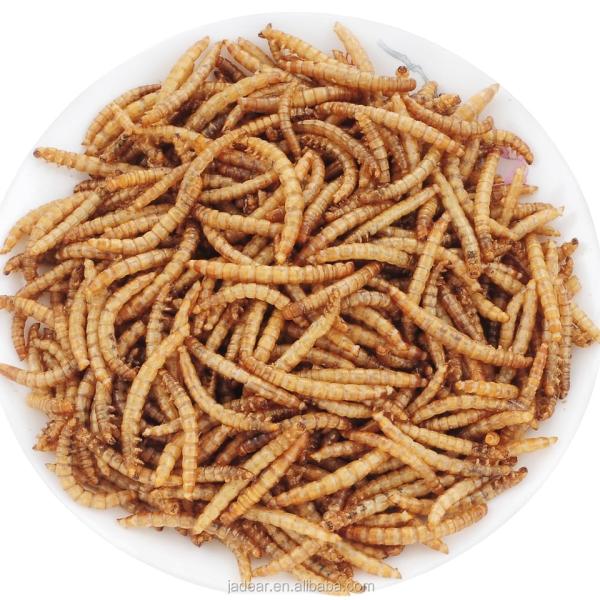 Mealworm-based Worm Meal - High in Protein 57% and Low in Fat 25%