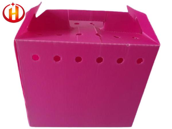 Multifunctional Moistureproof Durable Corrugated Plastic Pet Carrier Stackable