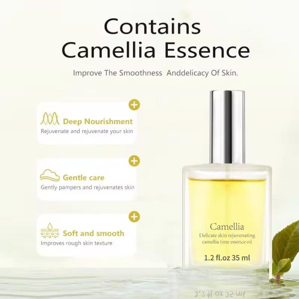ODM Камелия Уход за кожей Эфирное масло Укрепление лица Лифтинг Противоморщины Противовозрастные