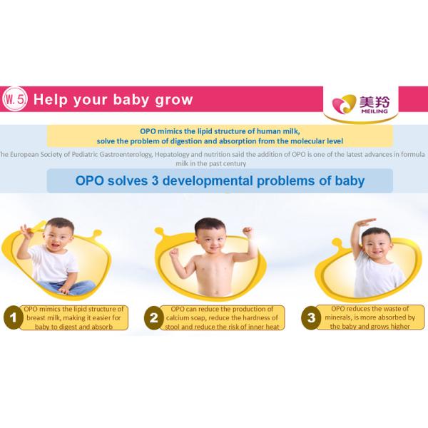 800g/Tin Sterilized Formula Infant Goat Milk Powder