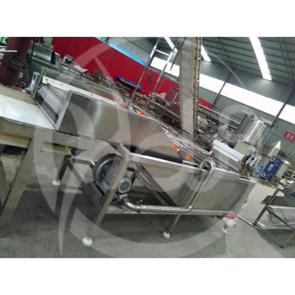 washing machine for salad vegetable  large vegetable cleaning line Multi-functional fruit and vegetable cleaning machine