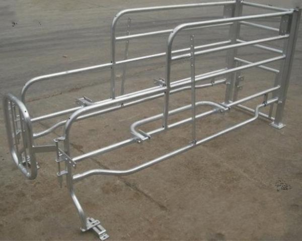 Adjustable Pig Farrowing Crate Fully Hot Dip Galvanized Steel Pipe Material
