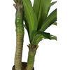 Dracaena Silk Plant Artificial 5ft Faux House Plants Evergreen Dracaena Marginata Fake Yucca Palm Trees in Pot