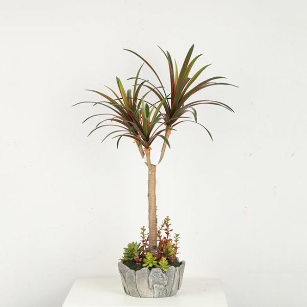 Planta home do Dracaena da falsificação da decoração/árvore artificial dos bonsais com potenciômetro do cimento