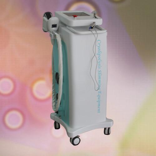 Multifunction Vacuum Cryolipolysis Slimming Machine AC 220V For Clinic Use