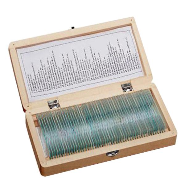Biology 50pcs Permanent Botany Slides Microscope In Wooden Box As Lab Equipment