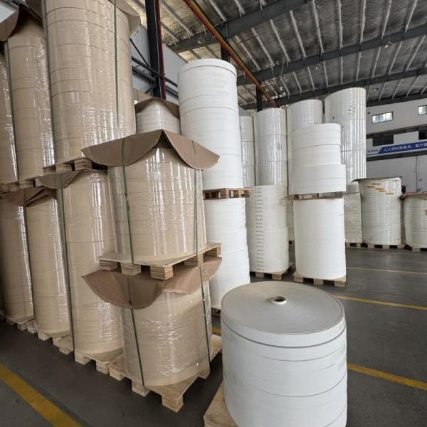 FSC- Amigable al medio ambiente 100% biodegradable con un solo ventilador de taza de papel recubierto de PLA para beber té bebida de café