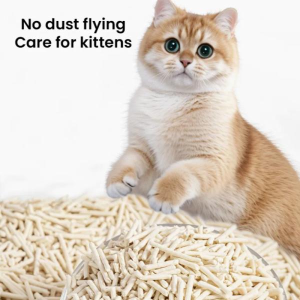 Low Dust Premium Tofu Cat Litter Environmentally Friendly Tofu Pellets