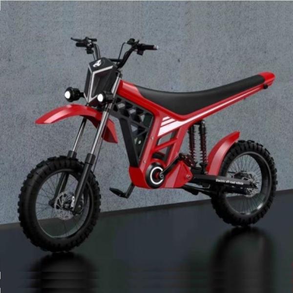 60V 20Ah Front Rear Disc Brake Citycoco Electric Scooter Off Road Electric Motorcycle