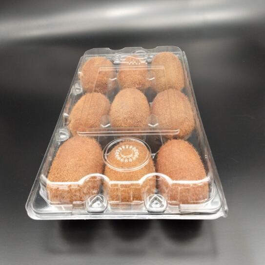 Transparent PP Eco Friendly Plastic Packaging Food Grade Odorless Non Toxic
