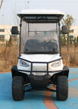 Электрическая тележка для гольфа Новый стиль 60V100Ah Свинцово-кислотная батарея Новый дизайн Конфигурация высокого класса