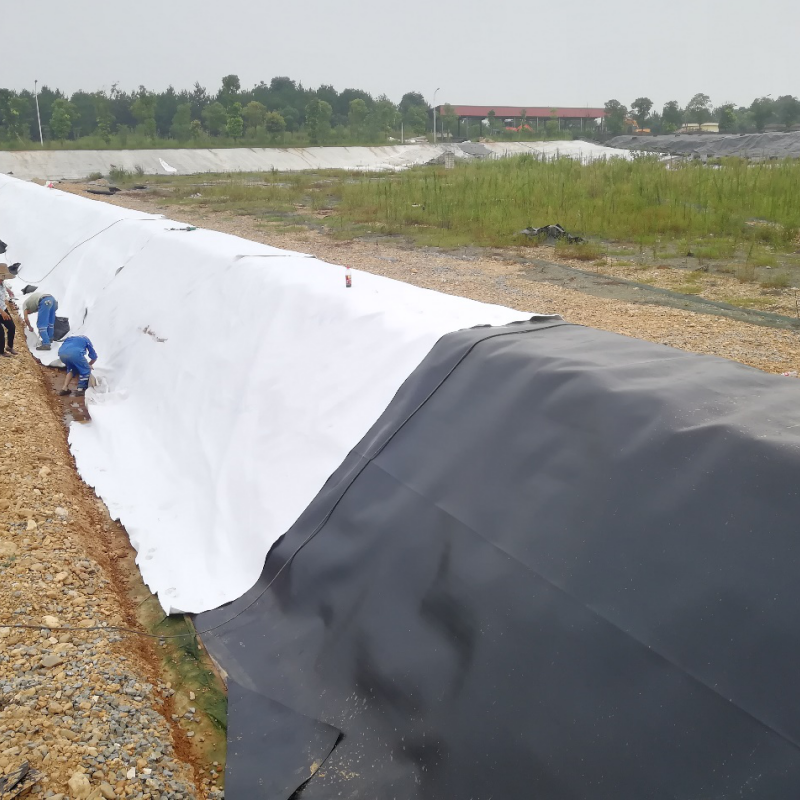 1.0mm 2.0 Mm Geo Membrane   Coastal Protection  Geo Cell Membrane
