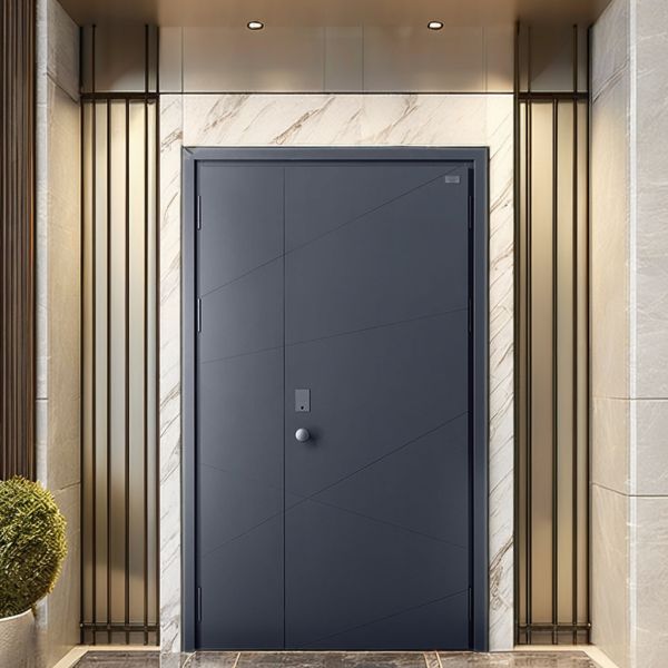 Custom Office Security Door Modern Steel Fancy Design Exterior Metal Door