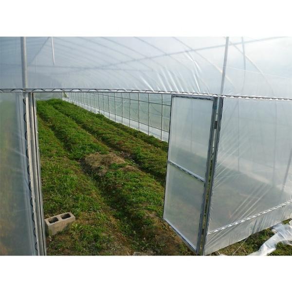 Single Layer Plastic Film Greenhouse Versatile For Agricultural Applications