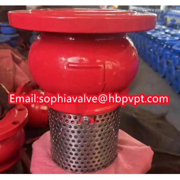 JIS ANSI 125LB cast iron flanged foot valve