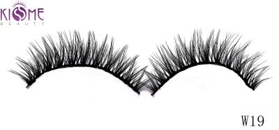 Tipped Soft Silk Volume Lashes Double Layered Multi Size Easy To Shape