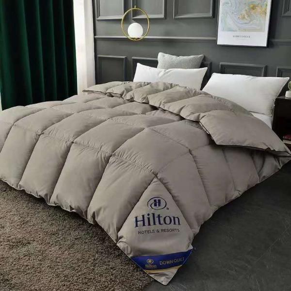 Hilton Duvet Double Spring Autumn Winter Quilt Core and Hot Style for Micro-Business