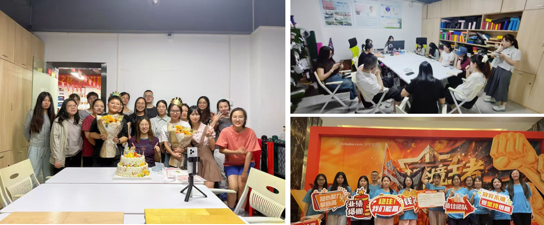 Shenzhen LDK Industrial Co., Ltd.