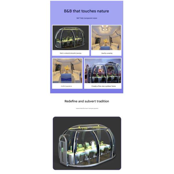 Outdoor Camping Homestay Steel Structure Spherical Tent House With Transparent Bubble Room And Dome Room