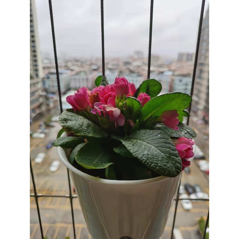 Invisible Grill  Flower Pot Accessories Durable Components for Secure Installation and Long Lasting Performance in Commercial Projects