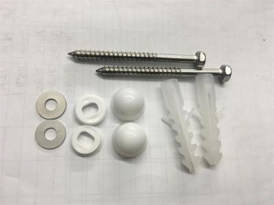 White Toilet Mounting Hardware Toilet Floor Bolts With Stainless Steel Screw