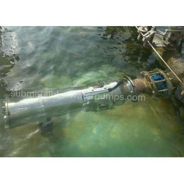 SUS304 Подводный фонтанный насос / Подводный фонтанный насос с ISO9001
