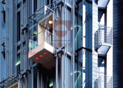 elevador panorâmico do passageiro da cápsula de 2000mm Pit Depth Mirror Stainless Steel