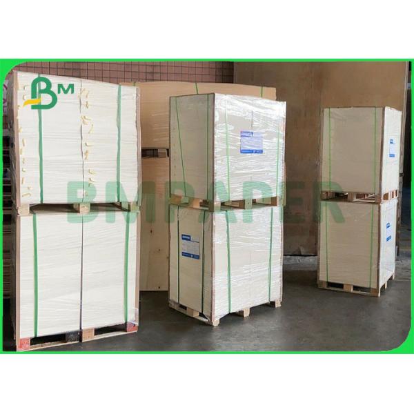 бумага кофейной чашки PE 260gsm + 15g на горячие напитки 735mm 780mm Biodegradable