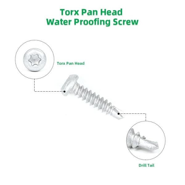 Pan Head Torx Drive Self Drilling Tapping Screw for Metal in 304 Stainless Steel