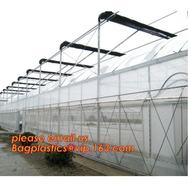 agriculture anti insect net on roll insect proof mesh for greenhouse,Greenhouse Anti Insect Netting /Agriculture Netting