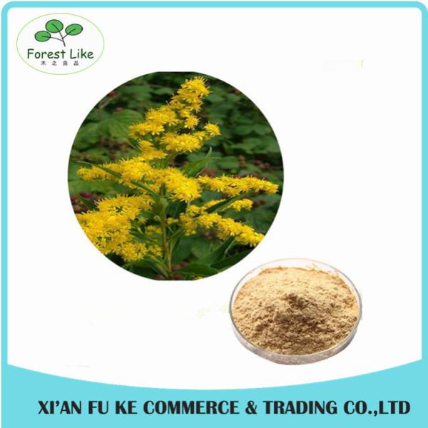 Water Soluble Witch Hazel P.E./Herbal Hamamelis Virginiana Extract for Cosmetic